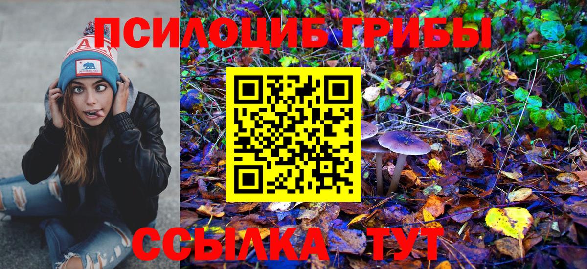 Псилоцибиновые грибы Psilocybe  Вход с VPN  Кольчугино 