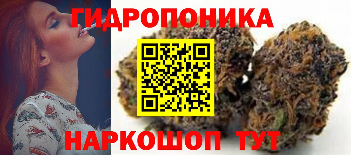 Кольчугино  Конопля гибрид  Конопля марихуана  Вход с VPN  Шишки марихуана план 